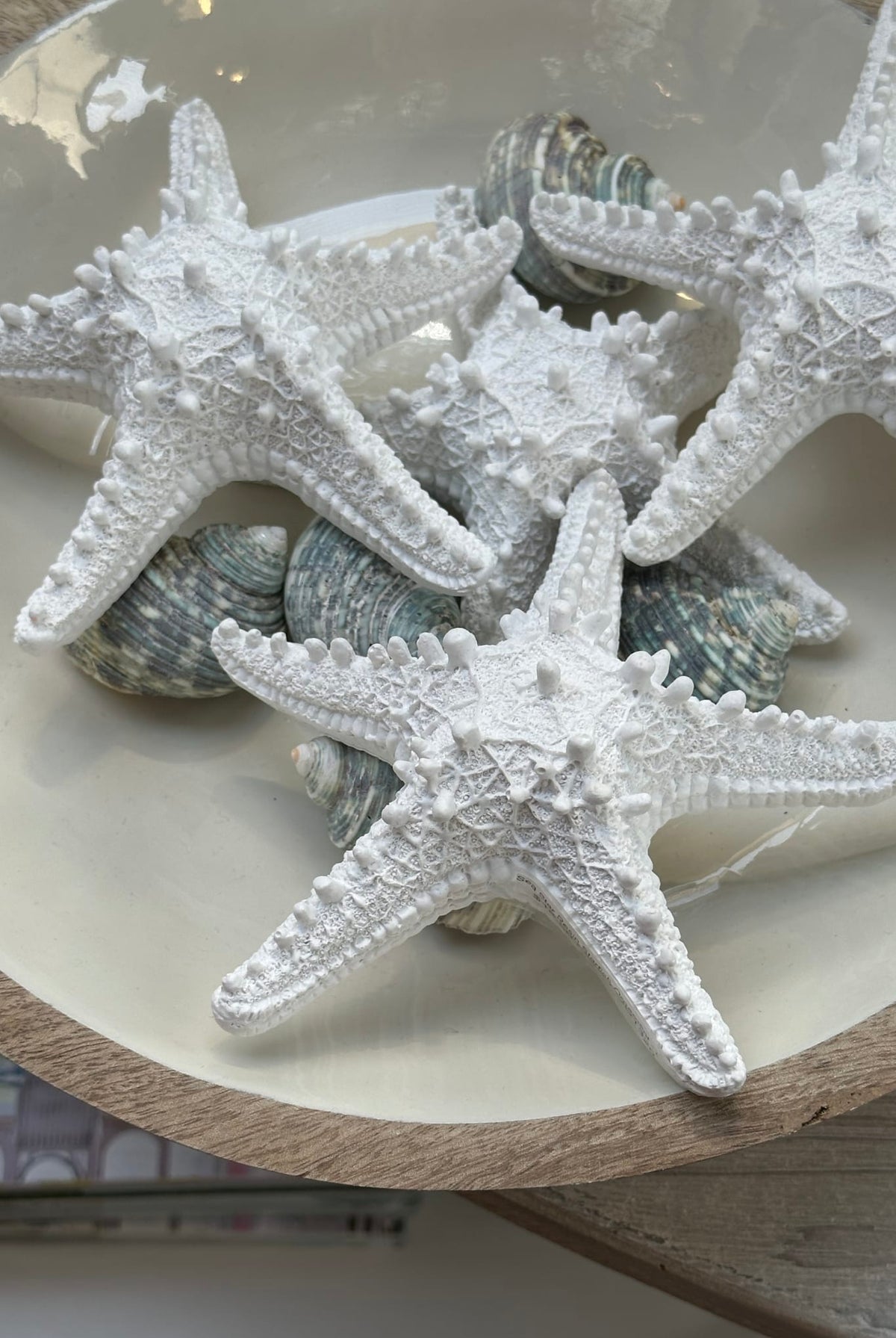 Sea Star Resin Starfish Ornament - Lge - Magpie Style
