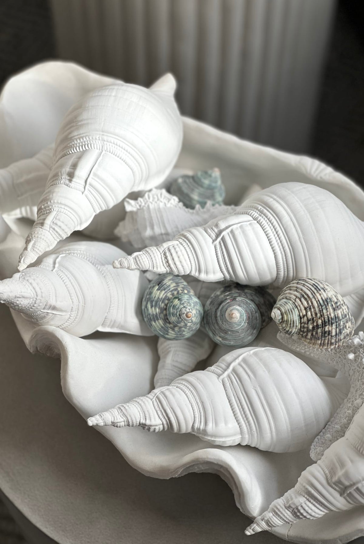 Conch Resin Shell - White - Magpie Style