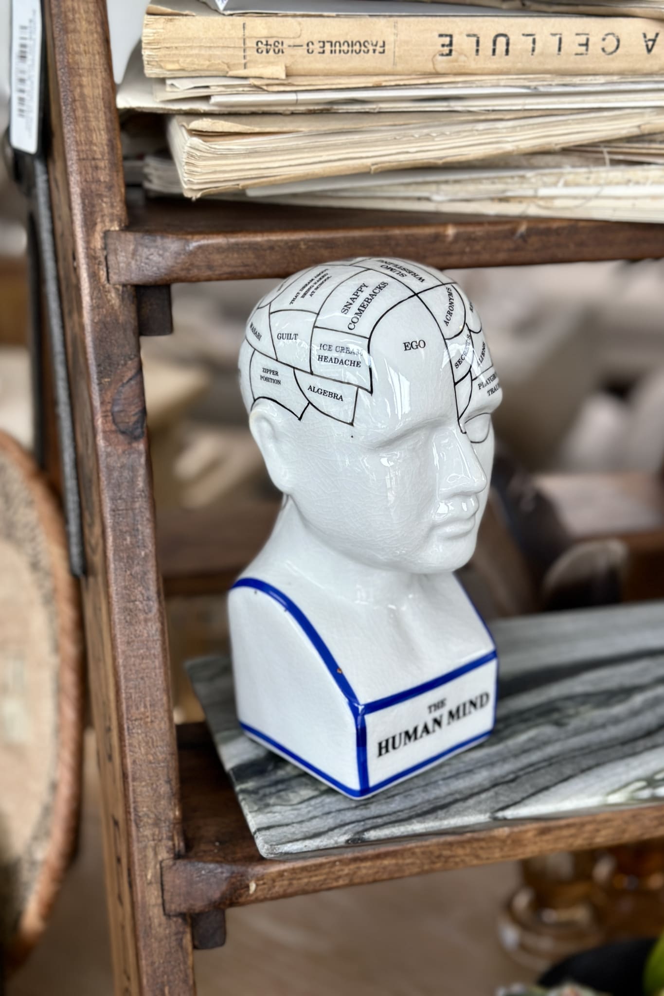 Human Mind - Magpie Style