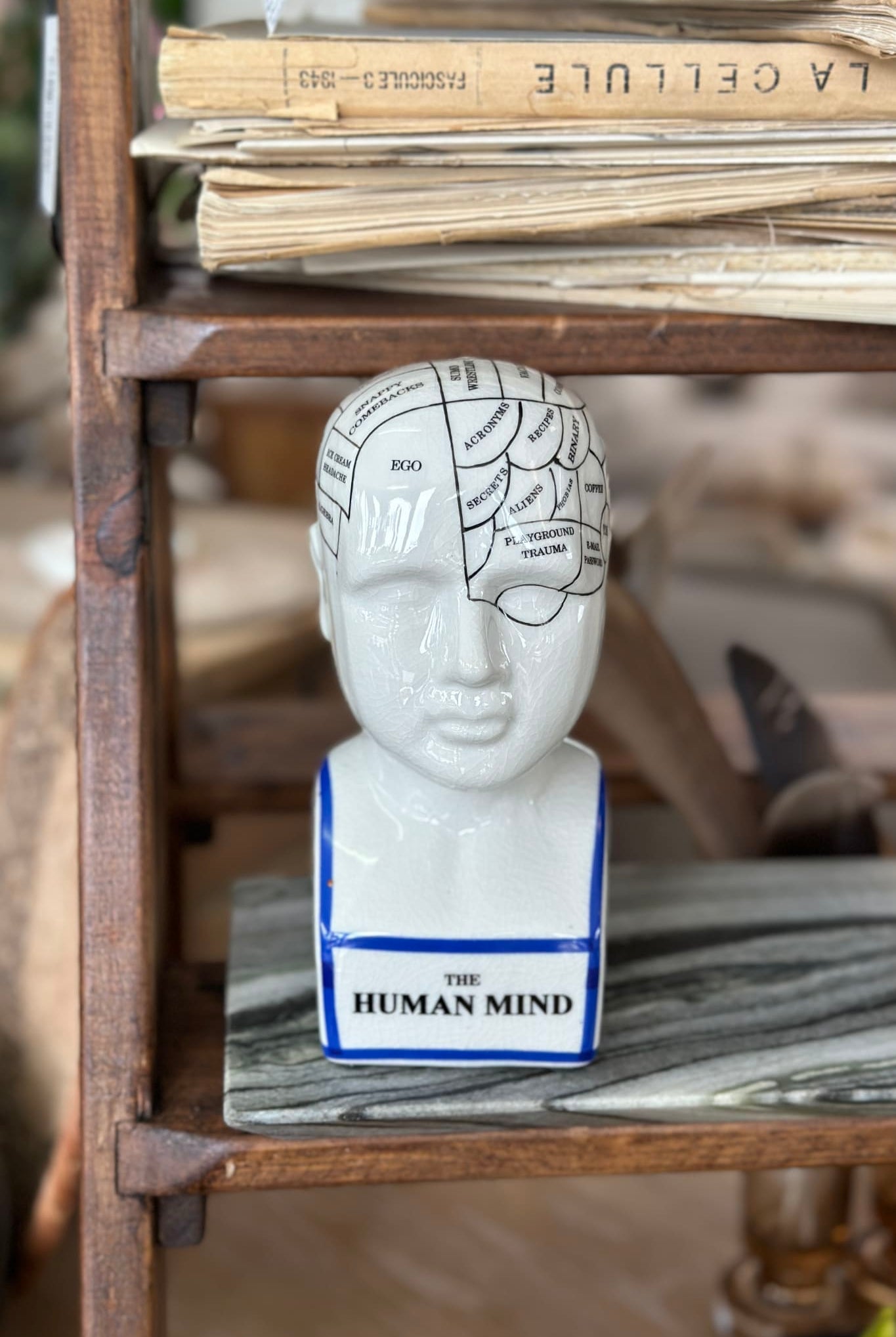 Human Mind - Magpie Style