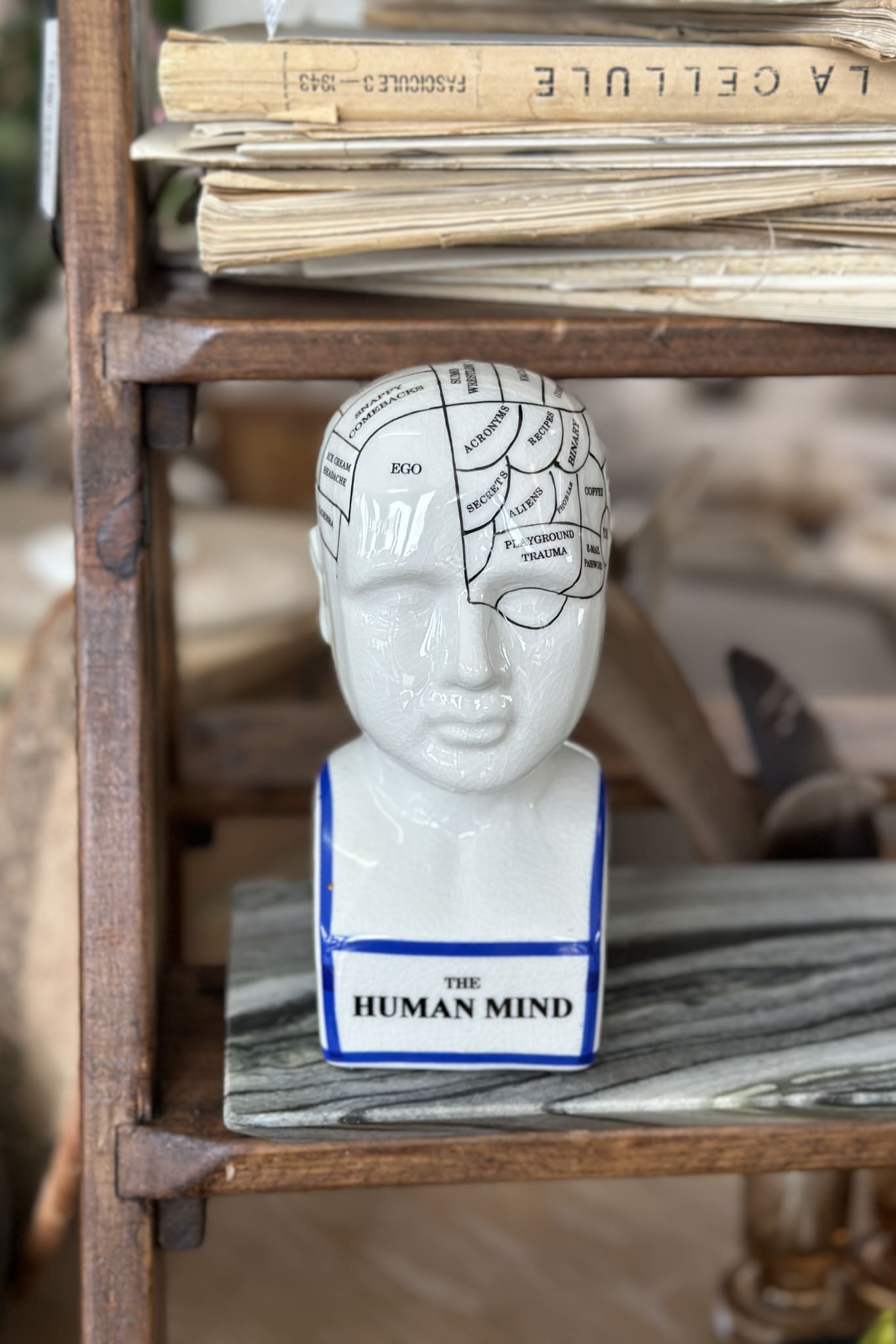 Human Mind - Magpie Style