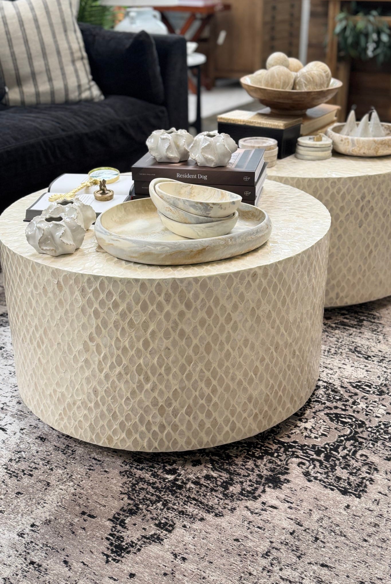 Catalina Capiz Shell Inlay Coffee Table - Magpie Style