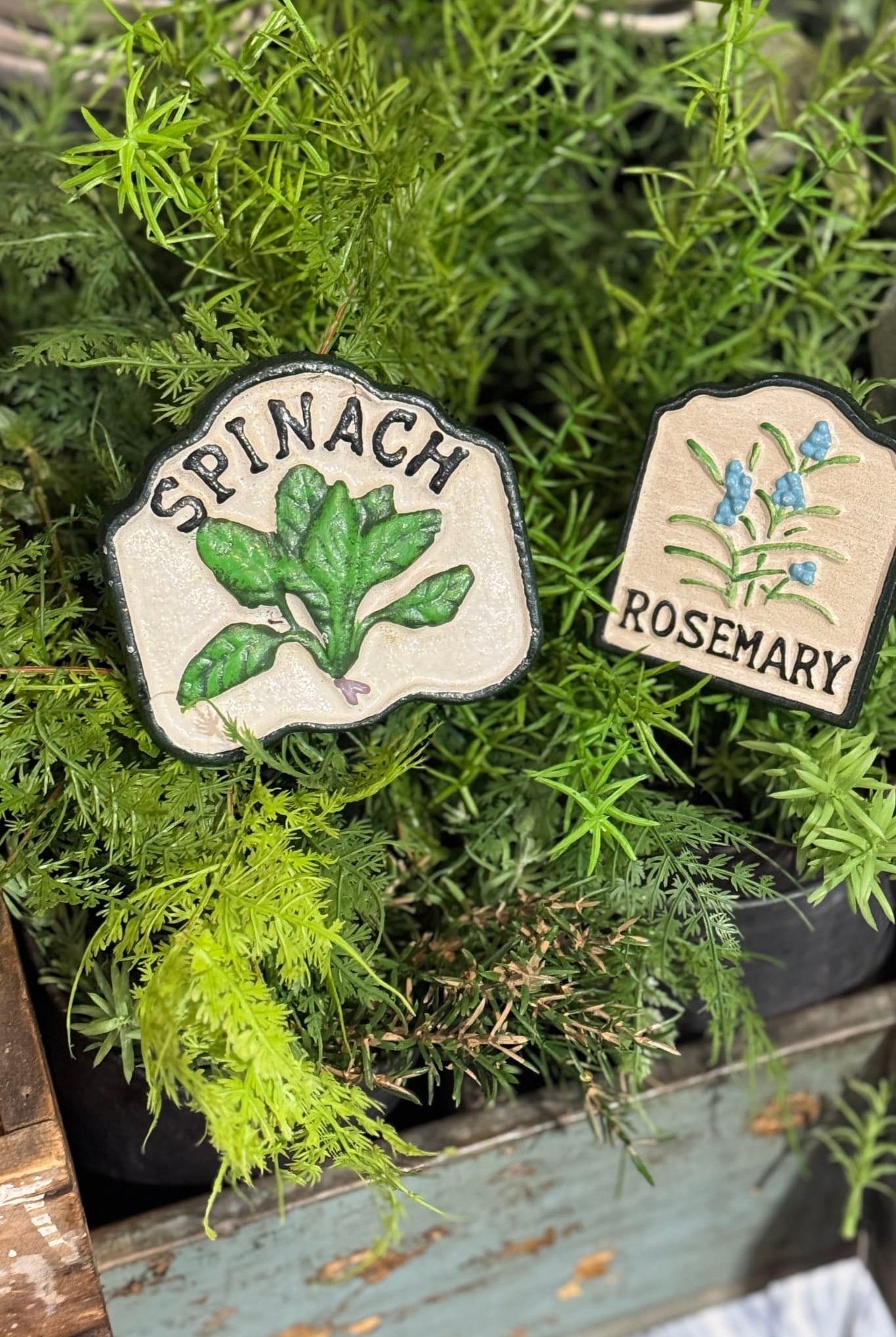 Spinach Garden Stakes - Magpie Style