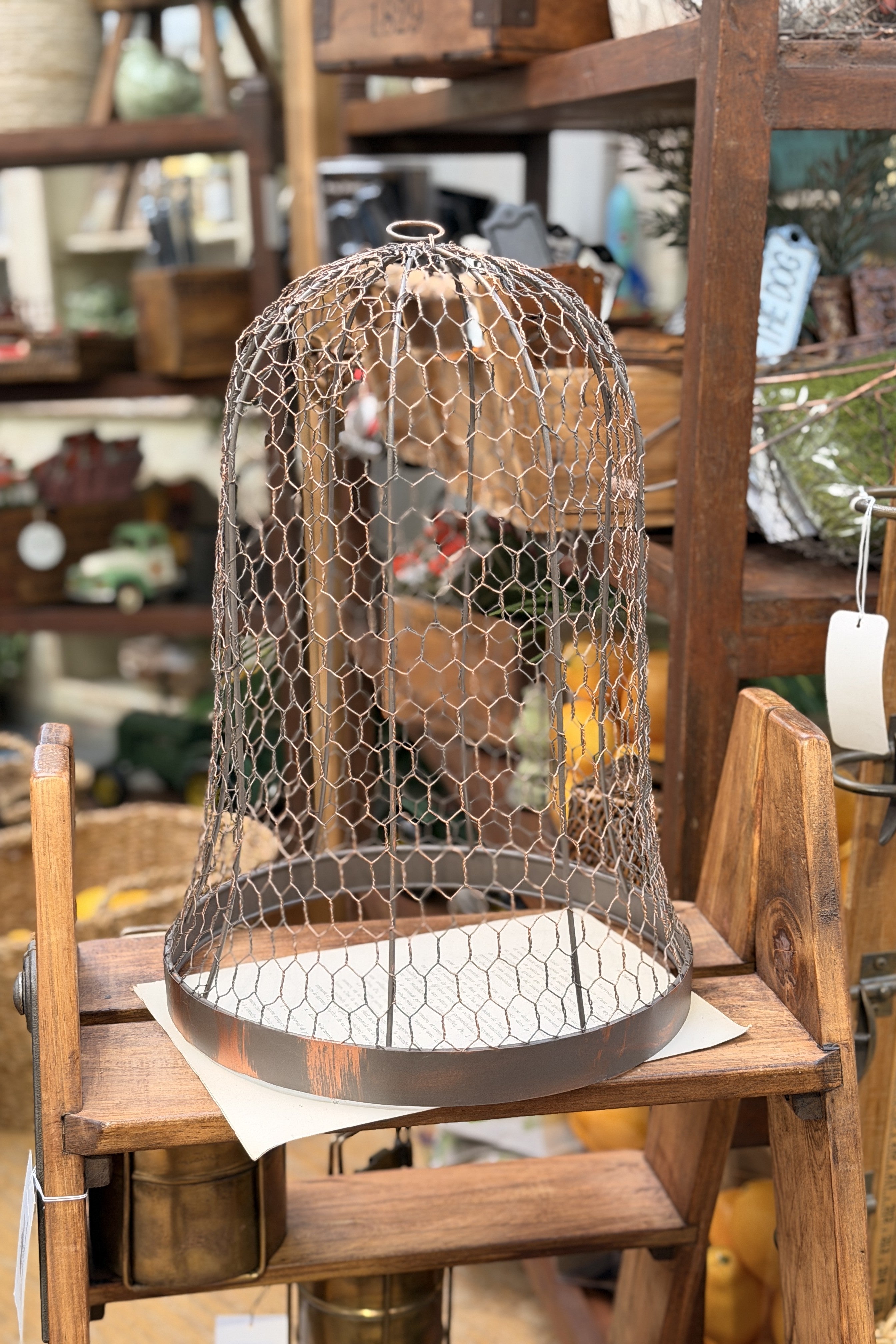 Metal Wire Cloche - Magpie Style