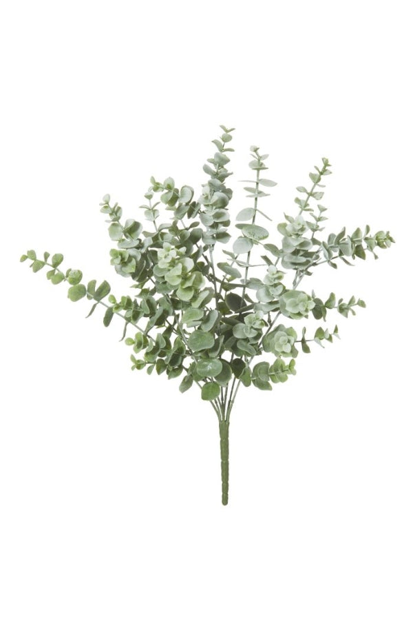 Eucalyptus Bush - Magpie Style