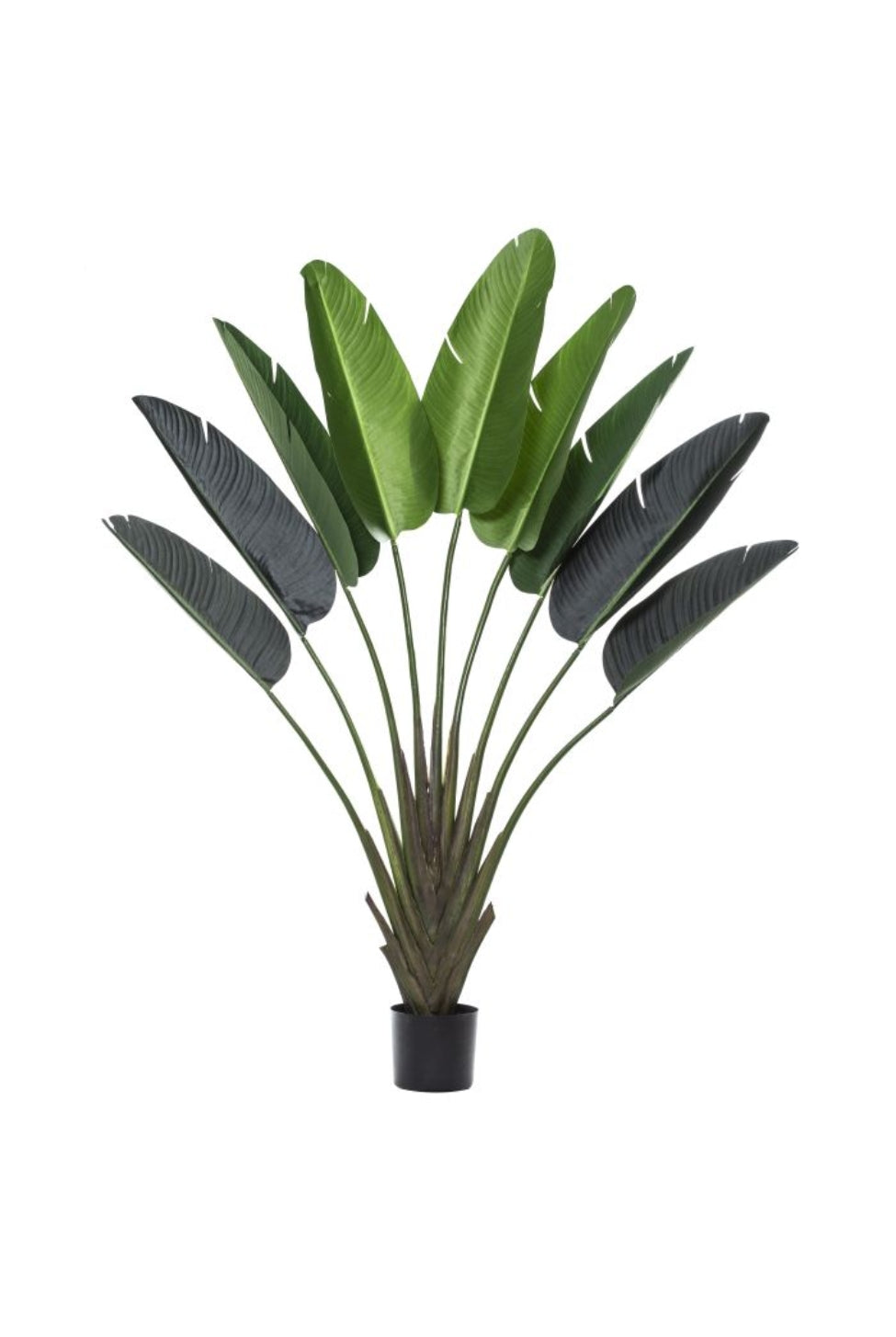 Faux Traveller’s Palm - Potted - Magpie Style