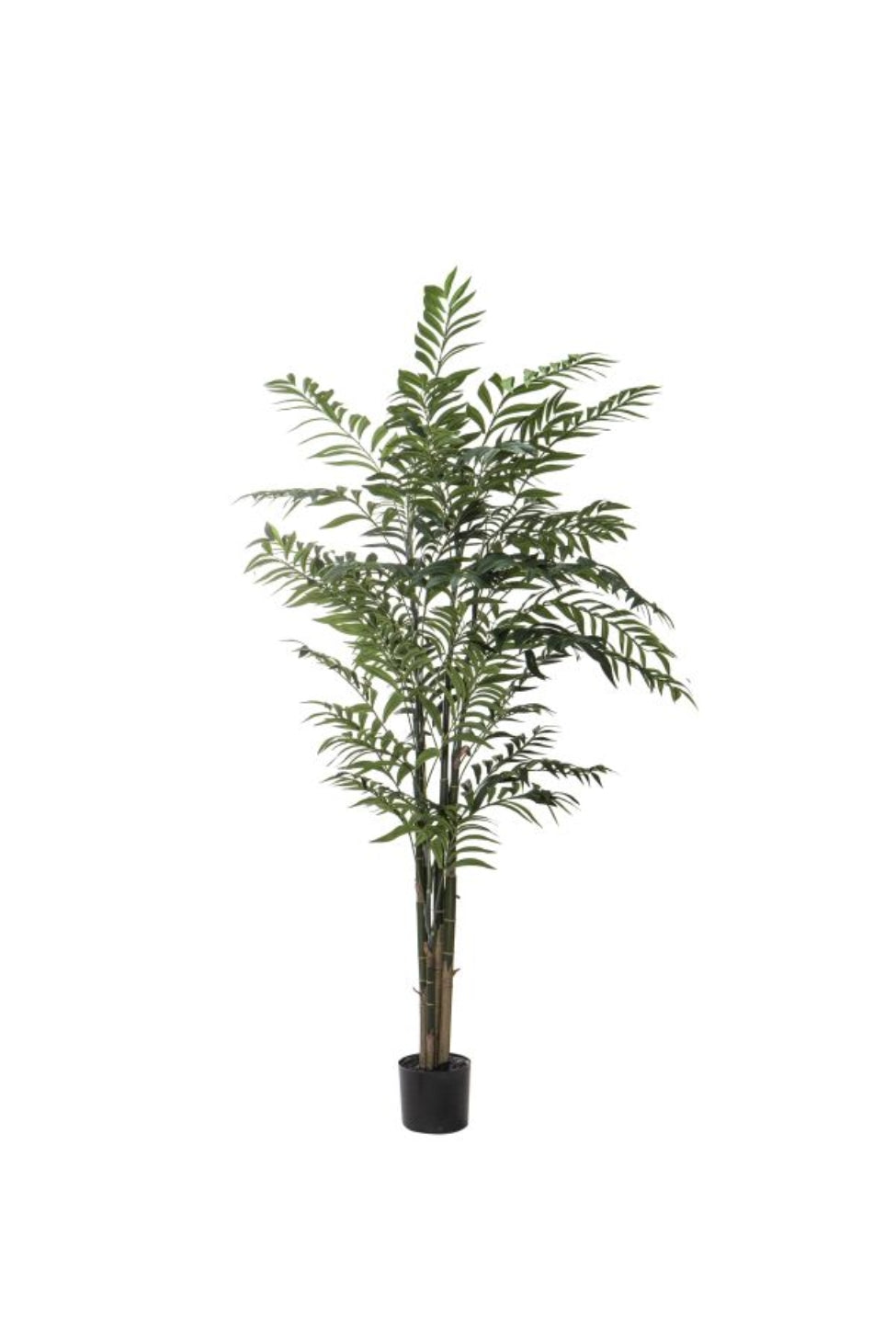 Faux Bamboo Palm - Potted - Magpie Style