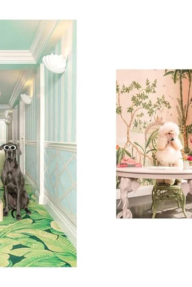 Gray Malin: Dogs - Magpie Style