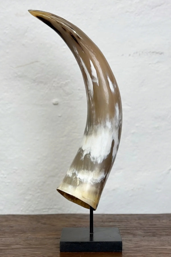 Nguni Cow Horn on Stand - Magpie Style