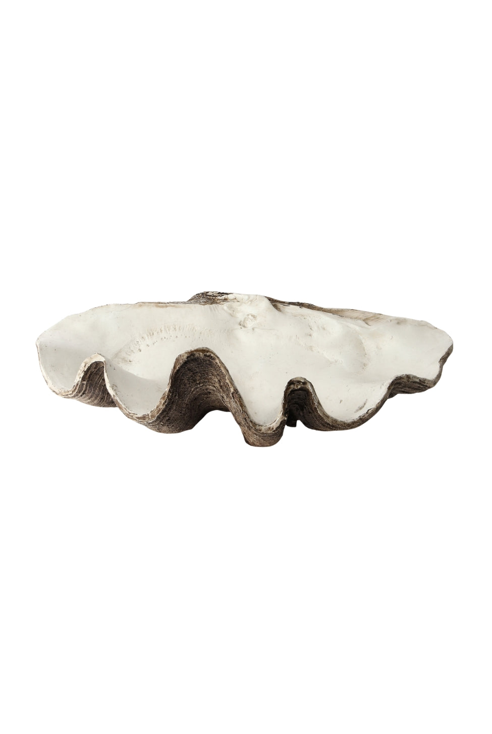 XL Resin Clam Shell - Natural - Magpie Style