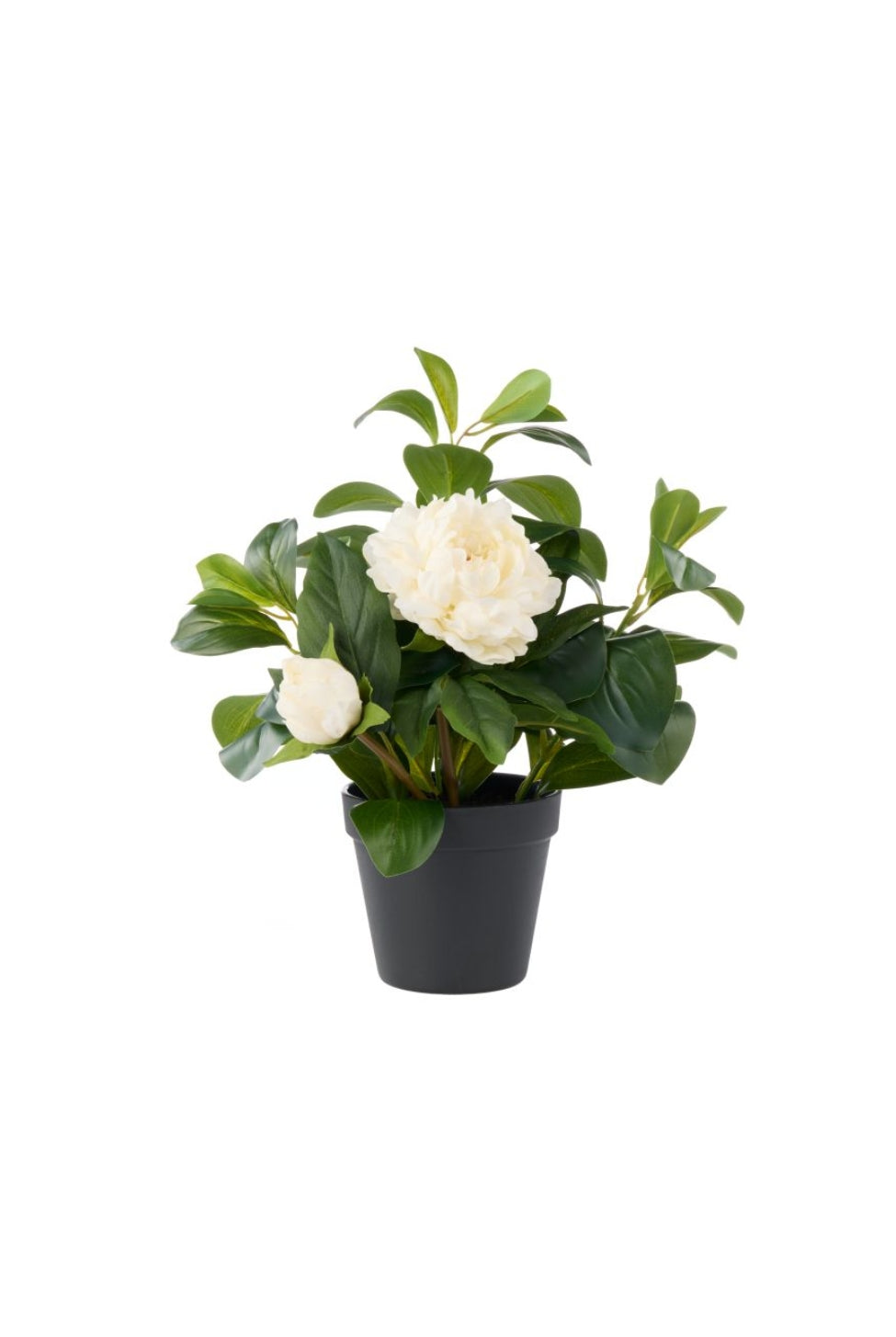 Faux White Peony Pot - Magpie Style