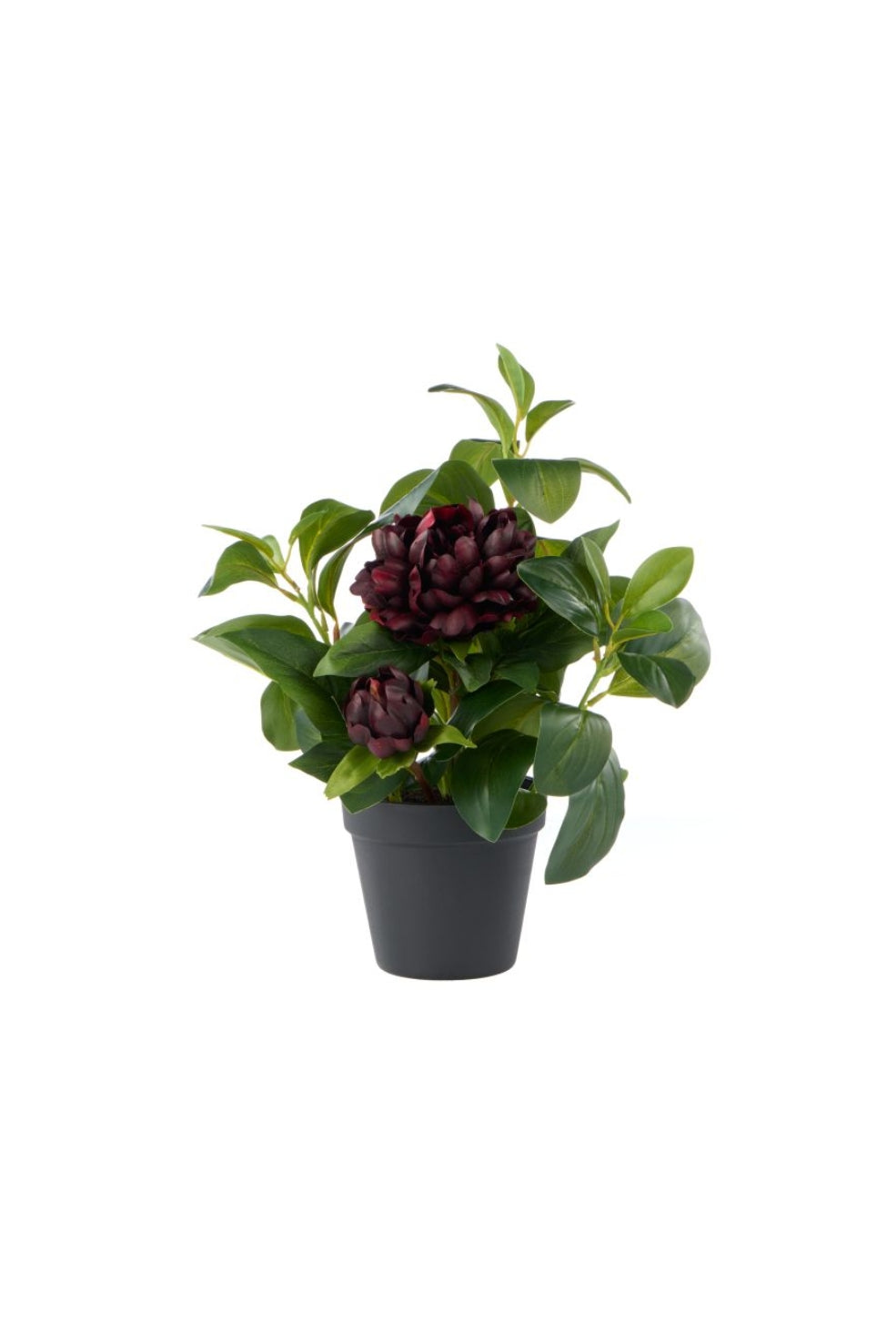 Faux Burgundy Peony Pot - Magpie Style