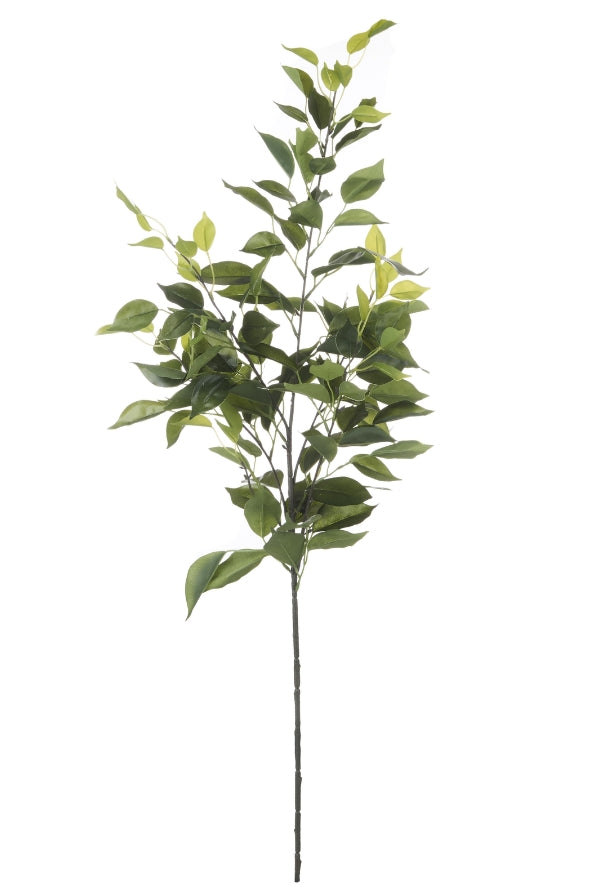 Fiscus Leaf Spray - Magpie Style
