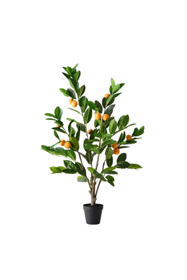 Orange Tree - Magpie Style