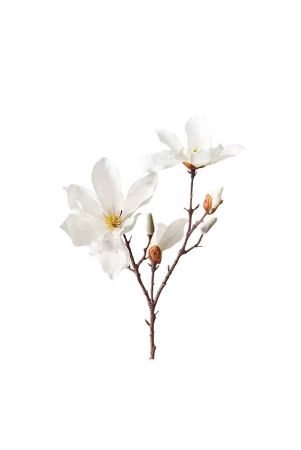 Magnolia Japanese Spray - Magpie Style
