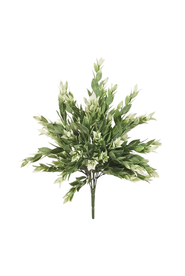 Ruscus Bush - Grey/White - Magpie Style