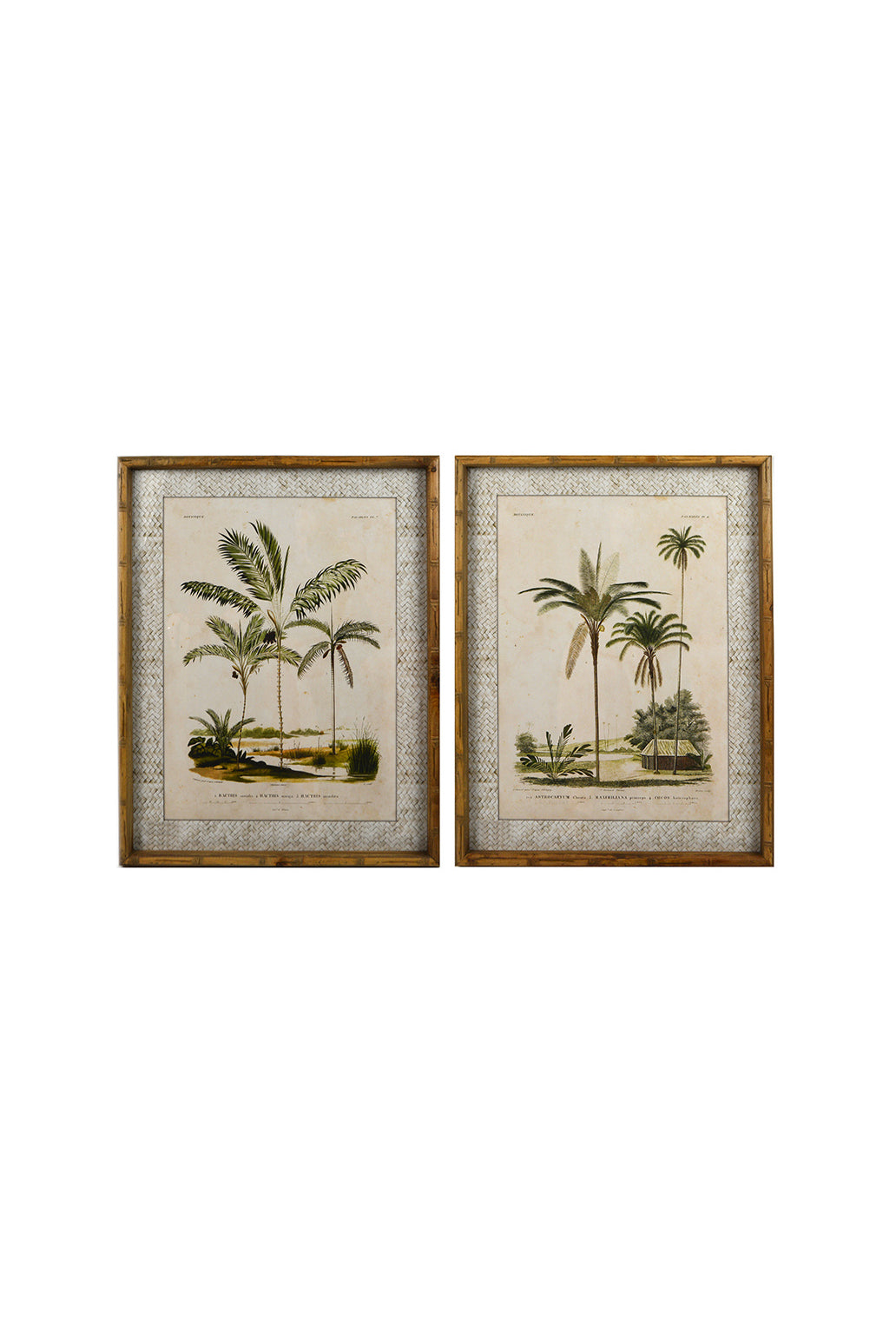 Zanzibar Village Palms Glass Framed Print - Magpie Style