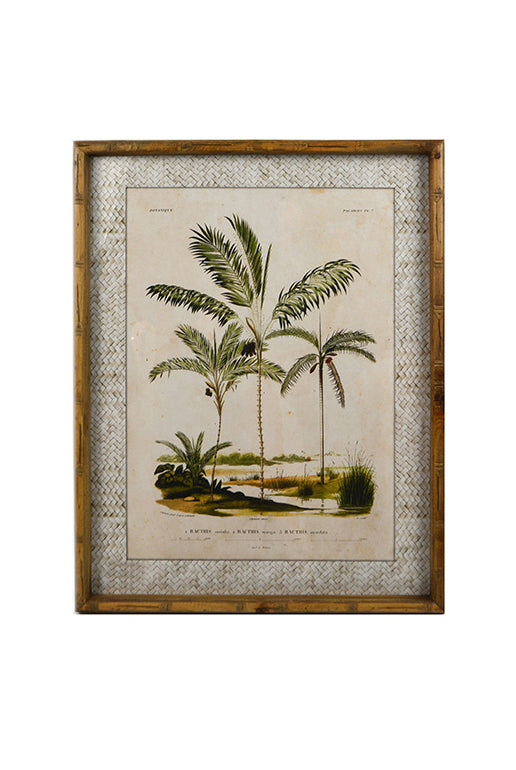 Zanzibar Palms Glass Framed Print - Magpie Style