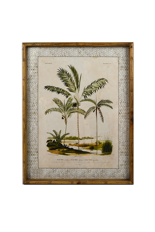 Zanzibar Palms Glass Framed Print - Magpie Style
