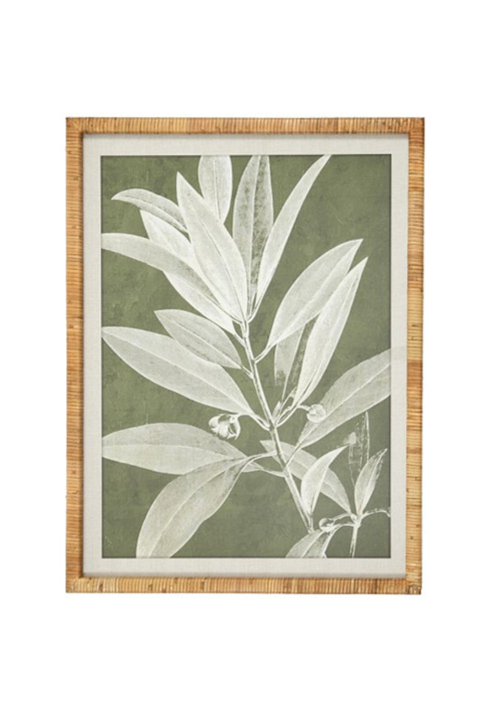 Olive Botanical Wall Art II - Magpie Style