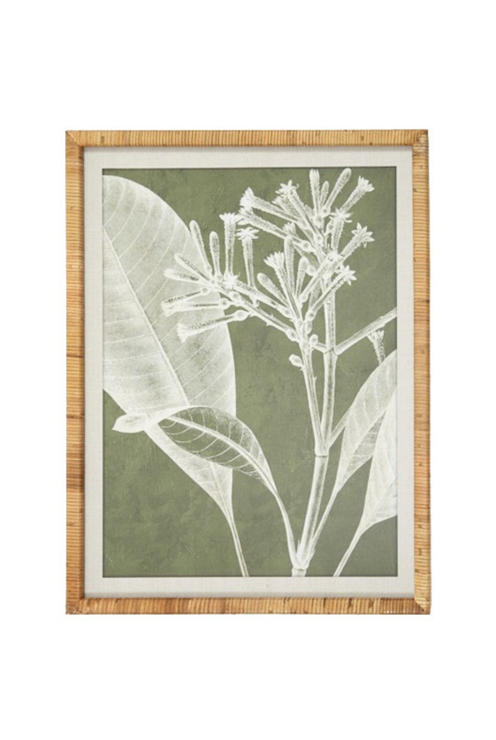 Olive Botanical Wall Art III - Magpie Style