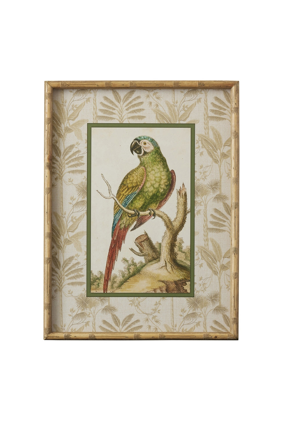 Tropical Parrot Bamboo Frame B - Magpie Style