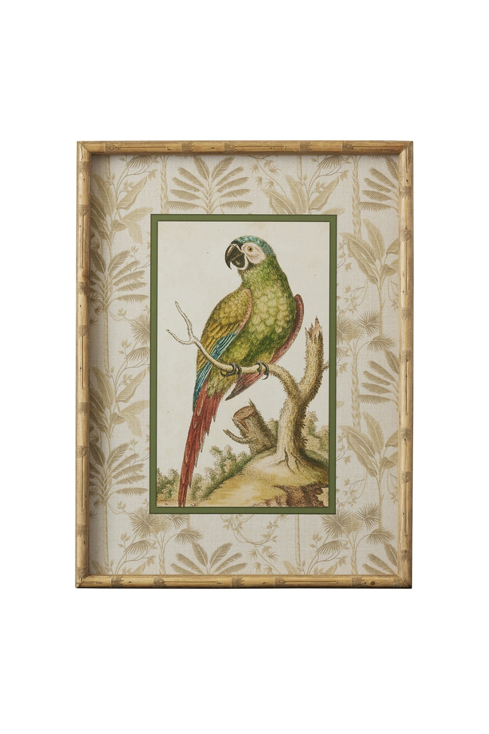 Tropical Parrot Bamboo Frame B - Magpie Style