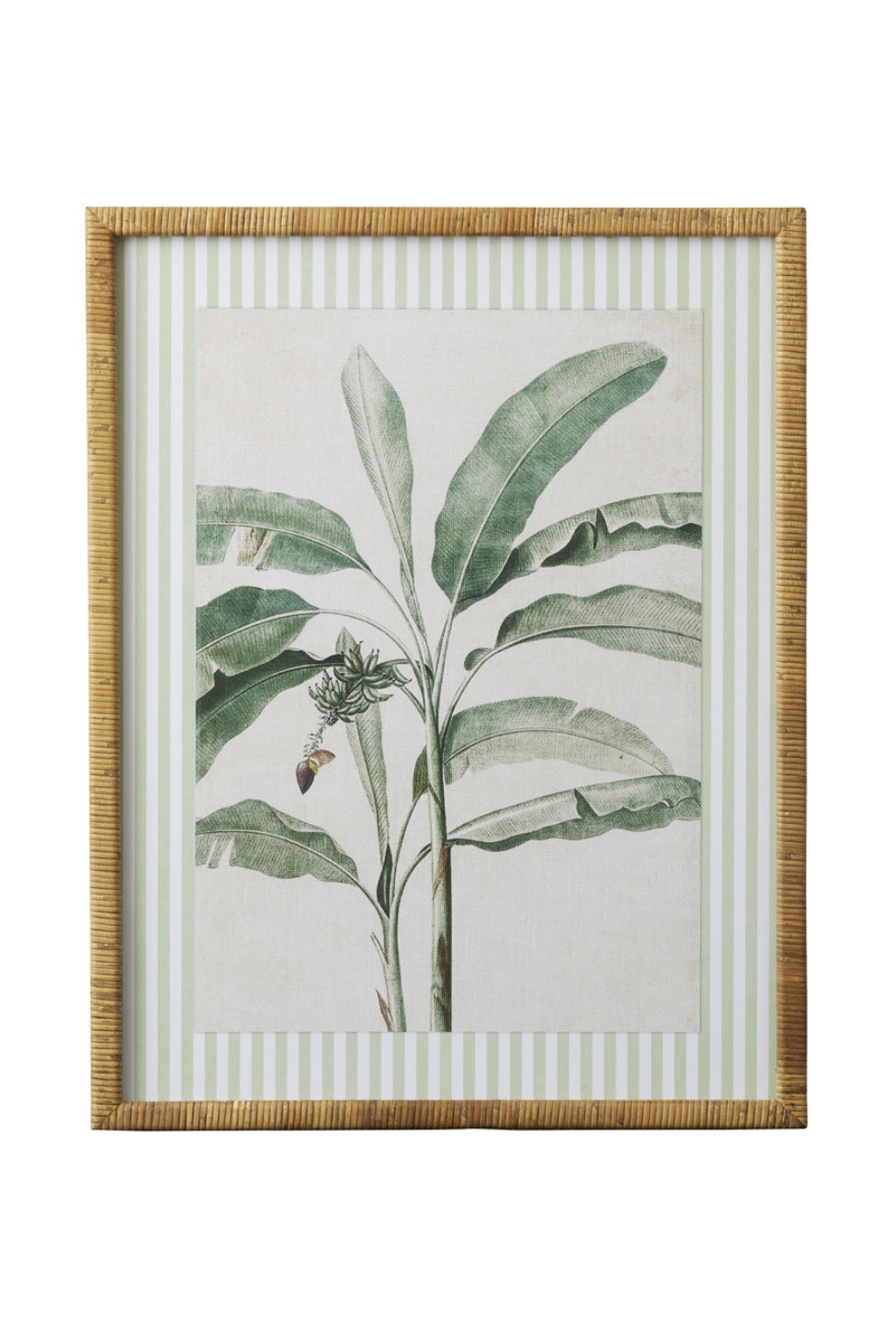 Striped Botanical Palm Study B - Magpie Style