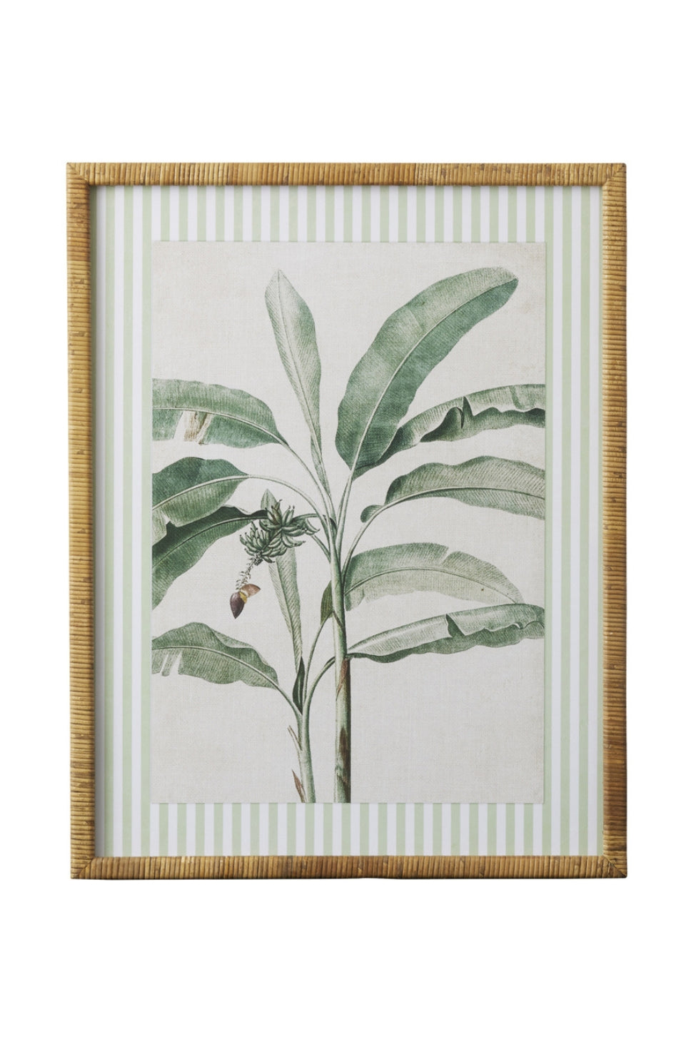 Striped Botanical Palm Study B - Magpie Style