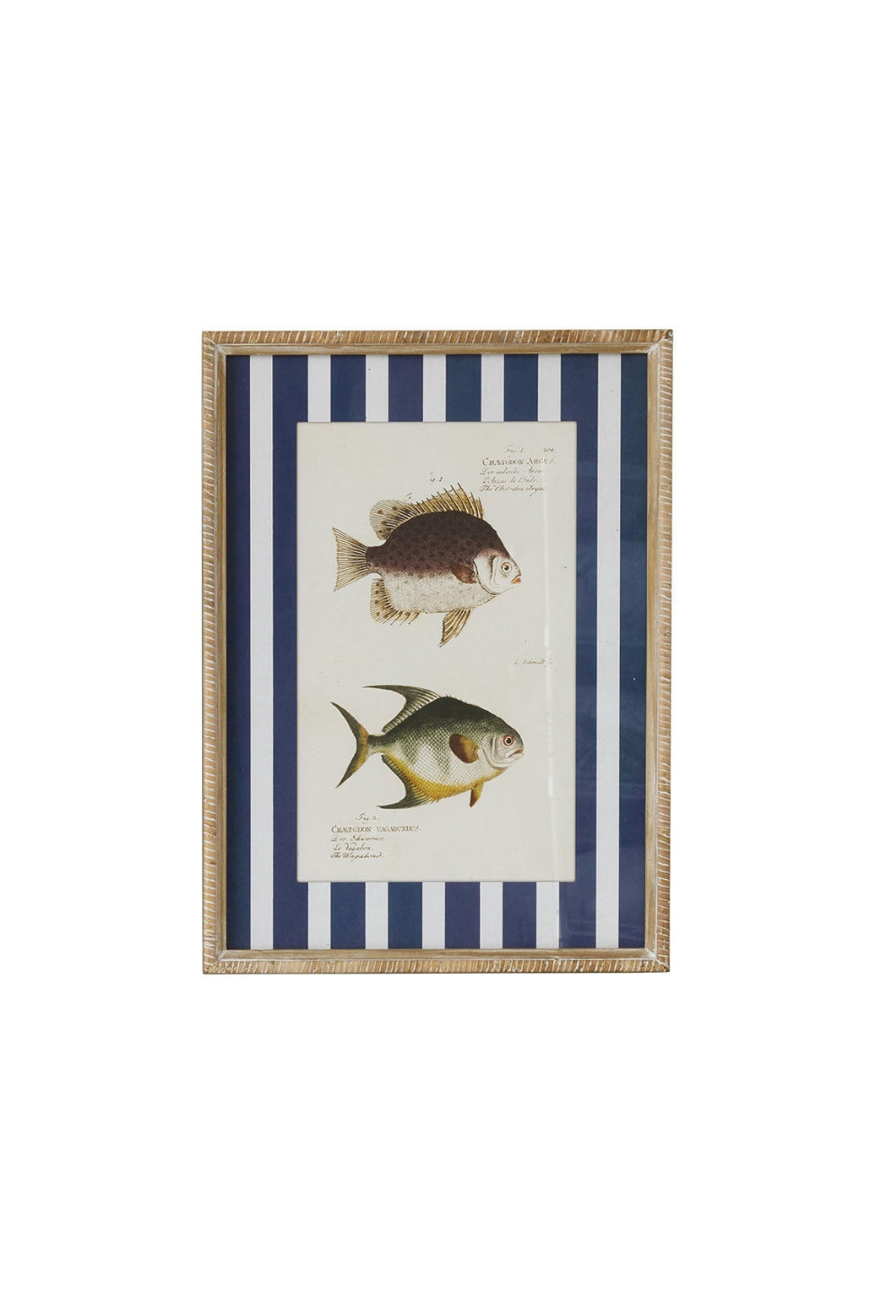 Nautical Stripe Fish Study C - Magpie Style