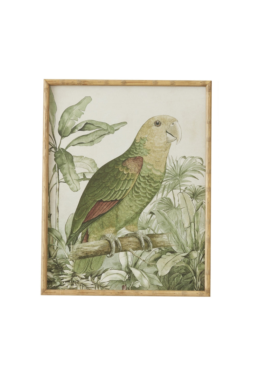 Emerald Canopy Parrot Artwork - Magpie Style