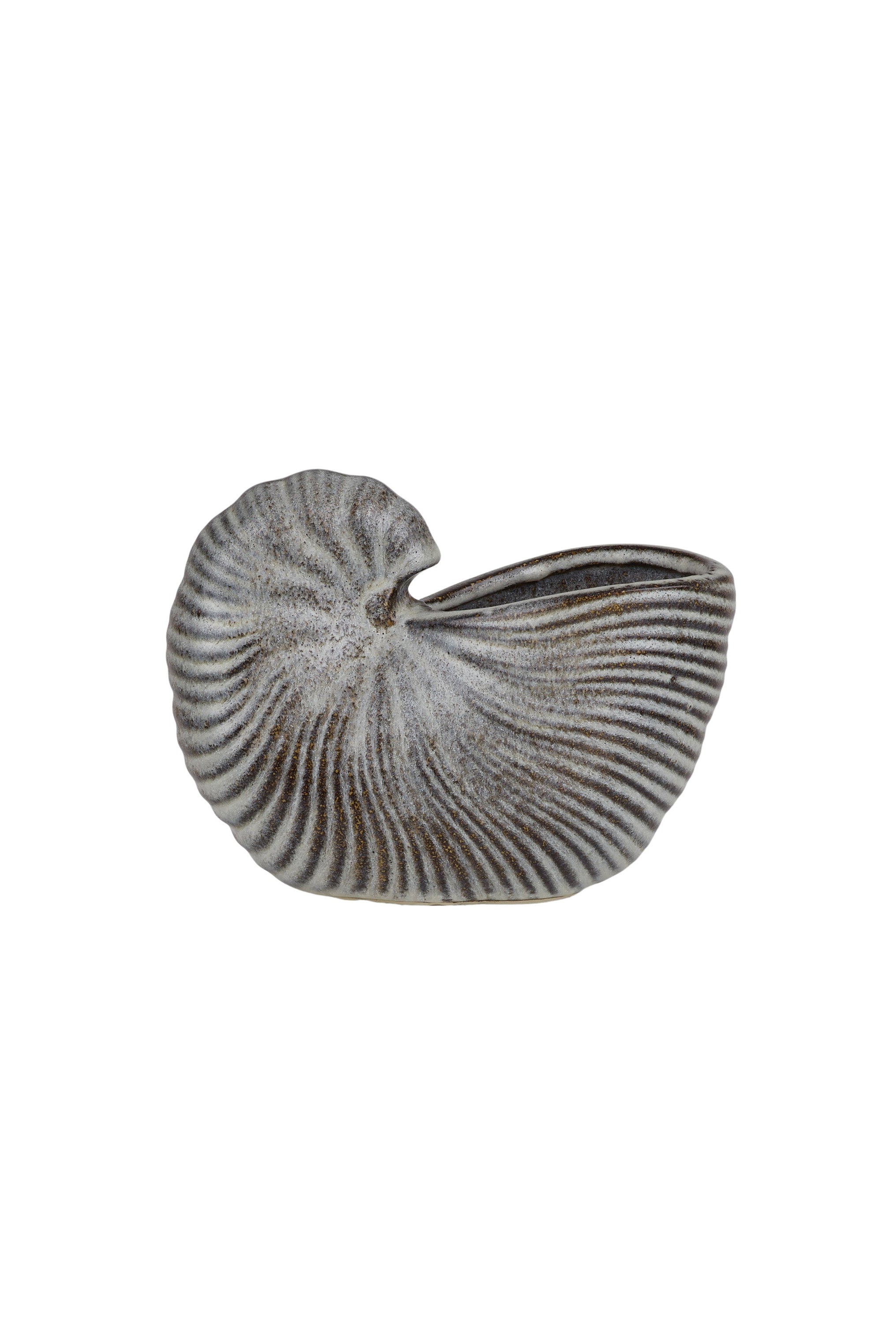 Nautilus Ceramic Planter - Natural - Magpie Style