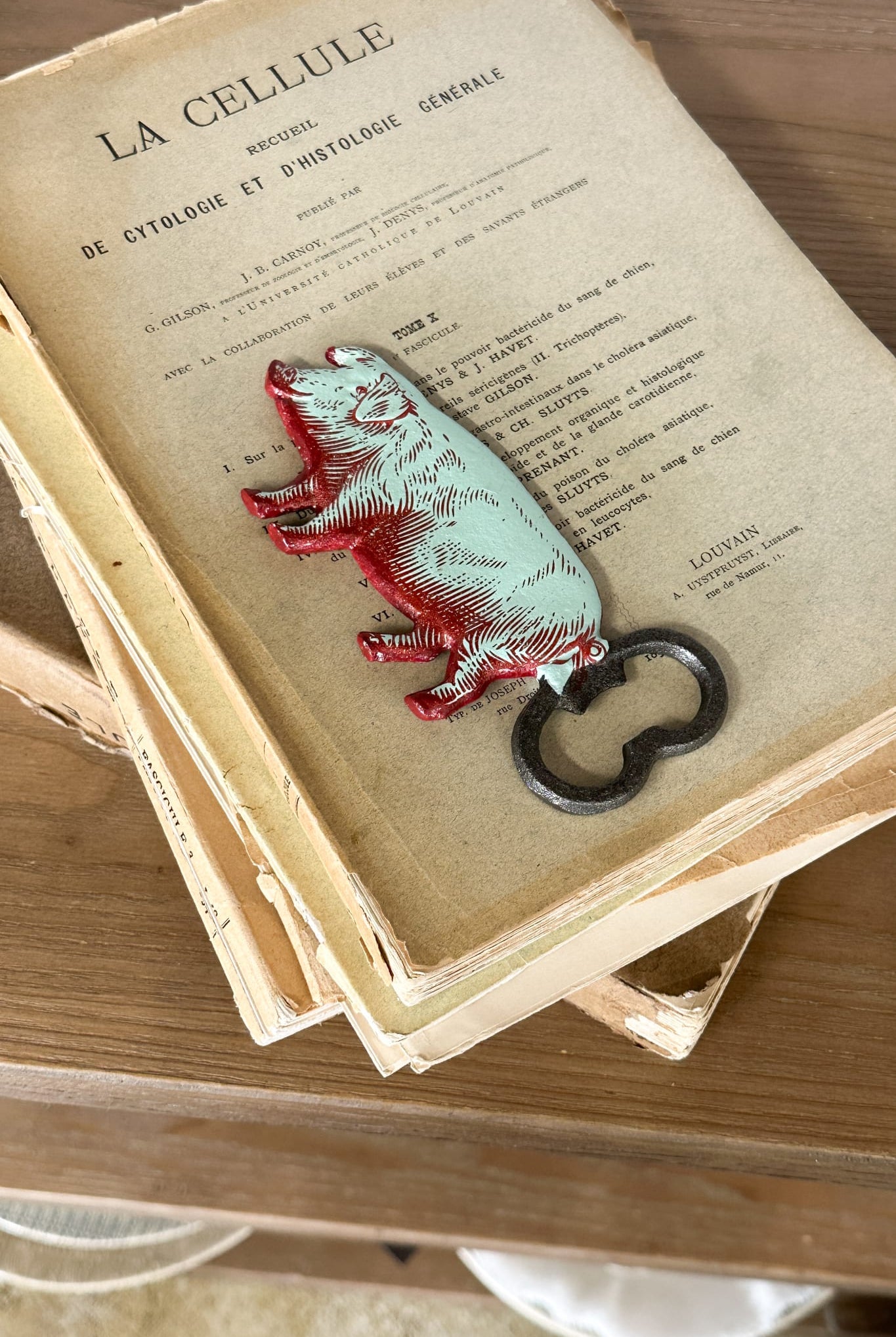 Pig Bottle Opener - Cast Iron - Magpie Style