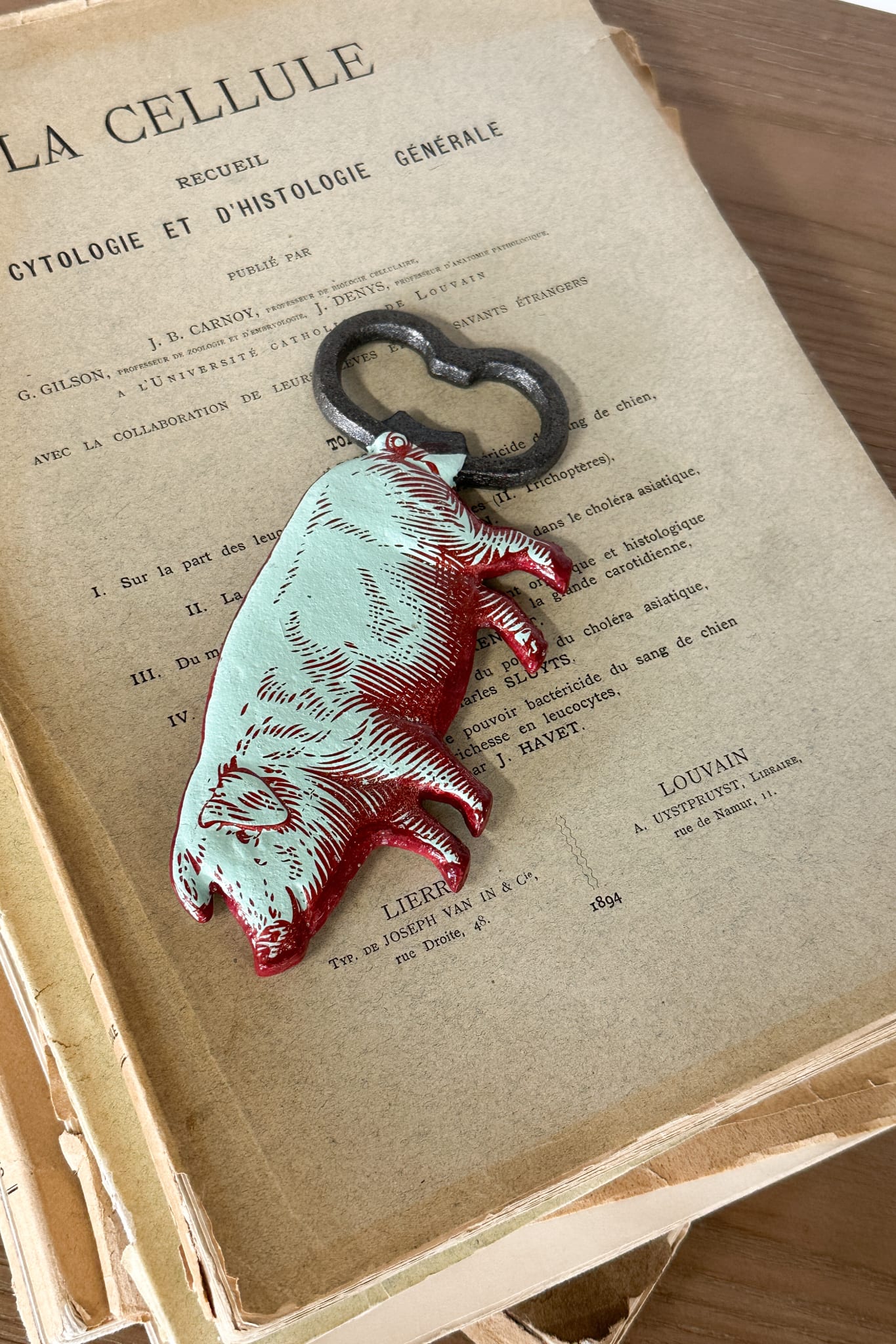 Pig Bottle Opener - Cast Iron - Magpie Style