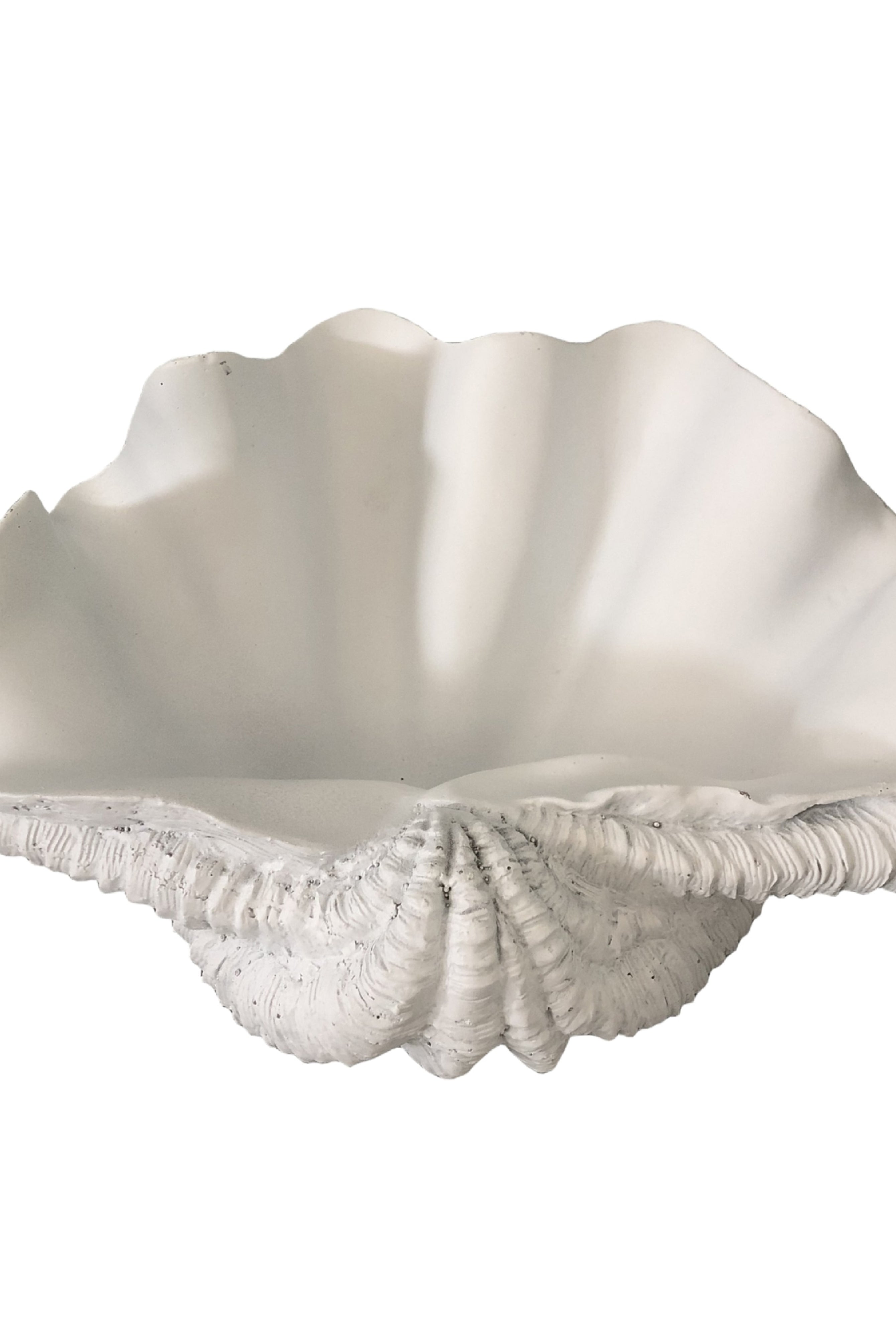 Resin White Clam - Magpie Style