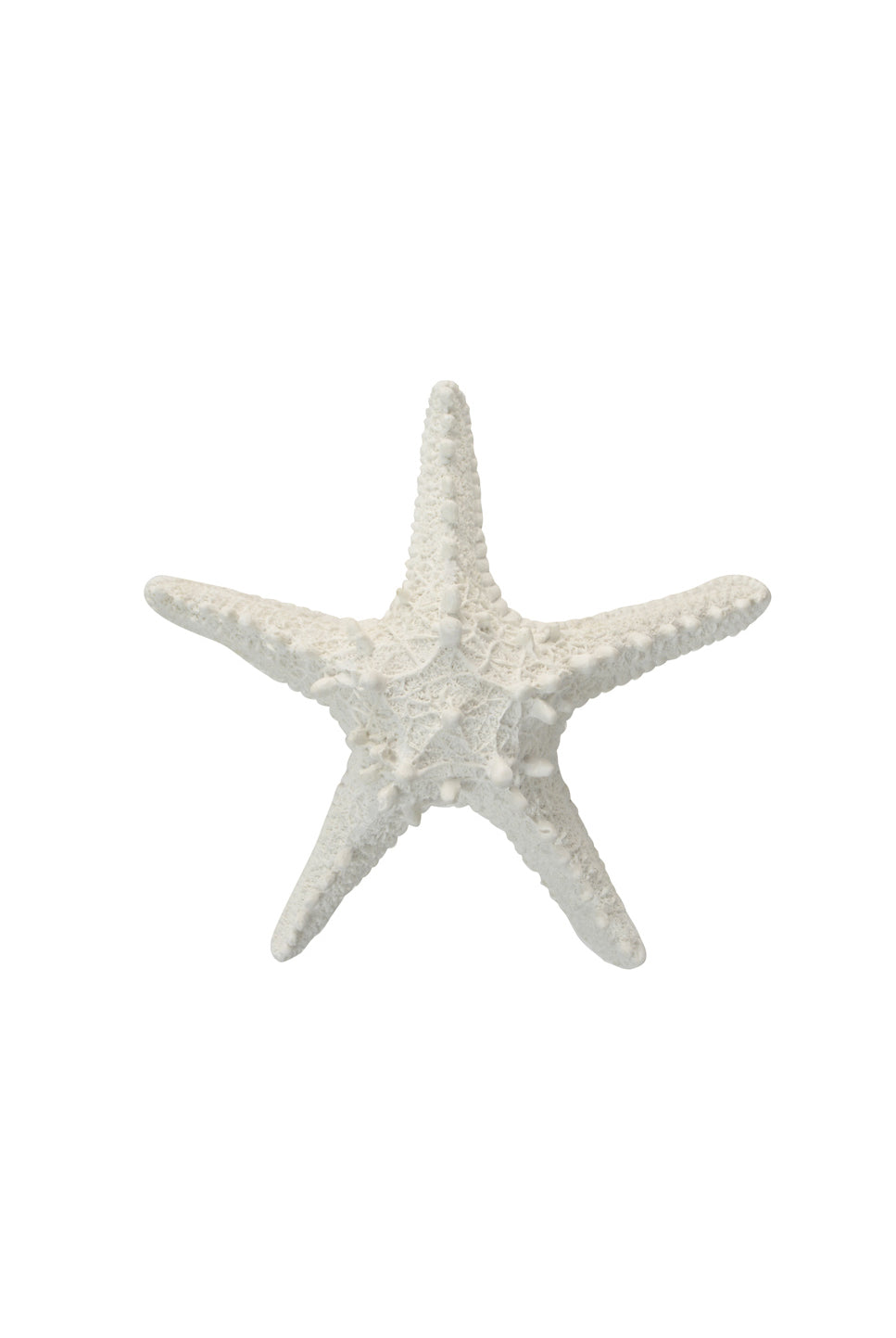 Sea Star Resin Starfish Ornament - Lge - Magpie Style