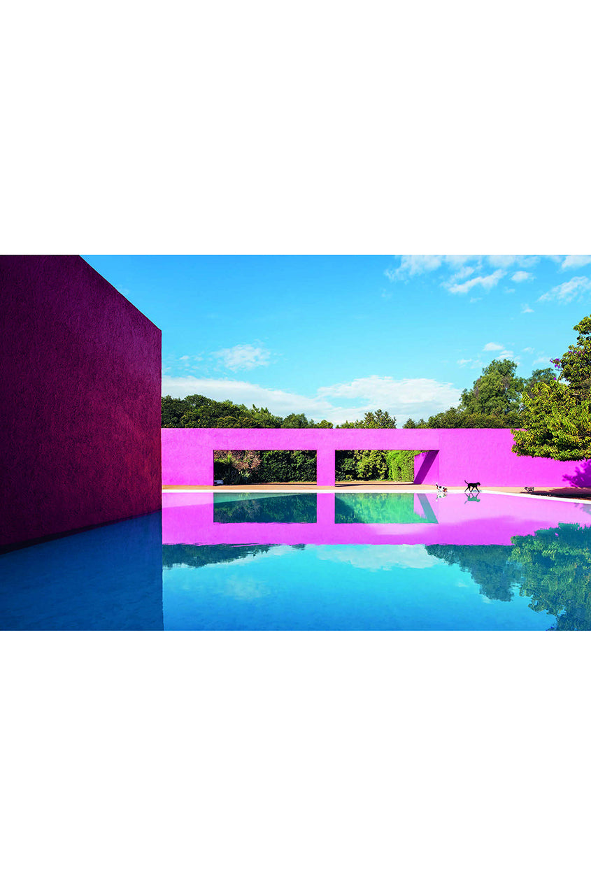 Resident Dog Volume 2 - Magpie Style