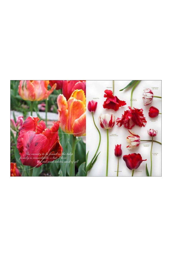 Flowers: My Garden Collection Carolyne Roehm - Magpie Style