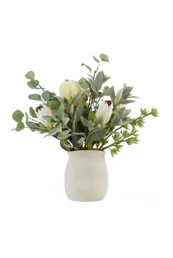 Australis Protea Eucalyptus Mix-Malia Pot - Magpie Style