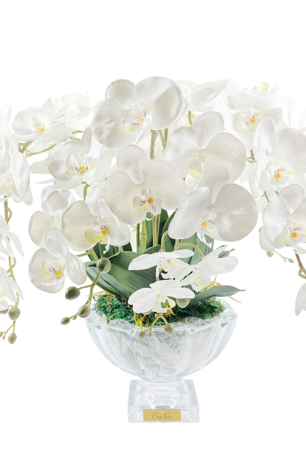 Cote Noire Tall White Orchid Centrepiece, Gold Badge, CPO01
