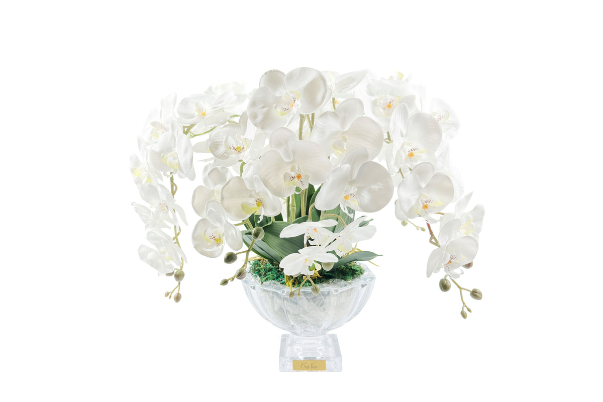 Cote Noire Tall White Orchid Centrepiece, Gold Badge, CPO01