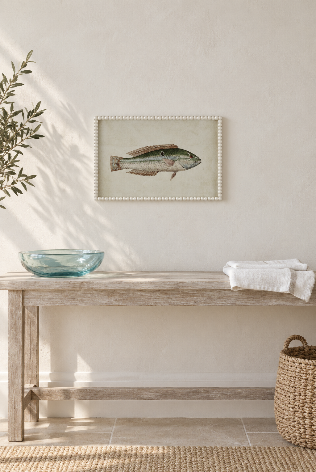 Green Wrasse Study displayed individually at true scale in a coastal interior