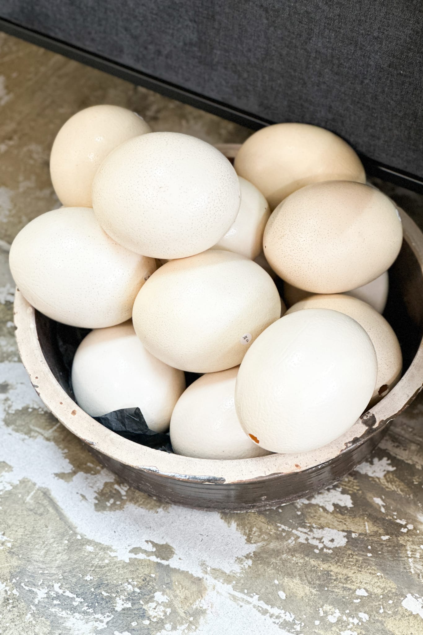 Ostrich Egg Large - Magpie Style