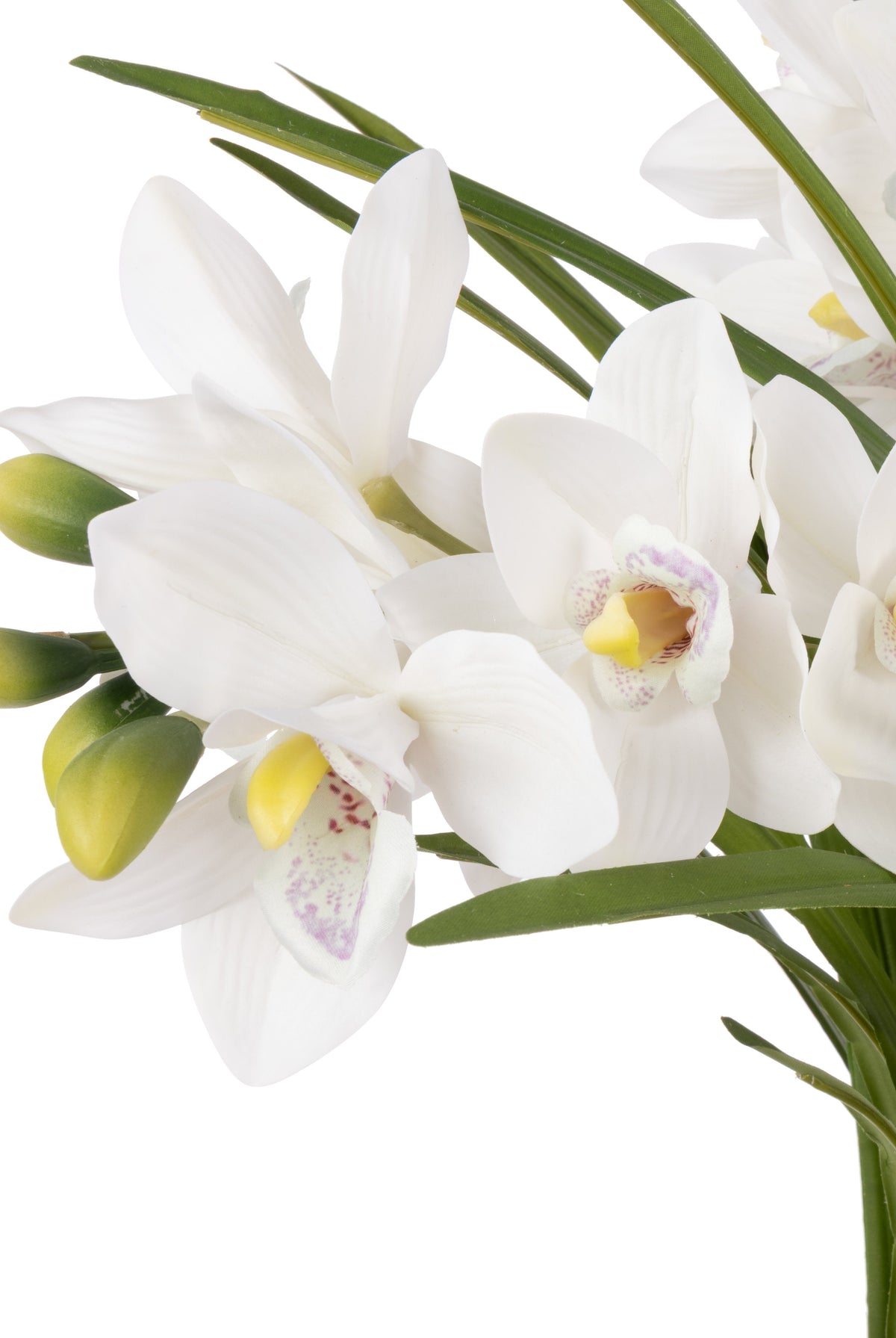 Cymbidium Orchid Pot - White - 2