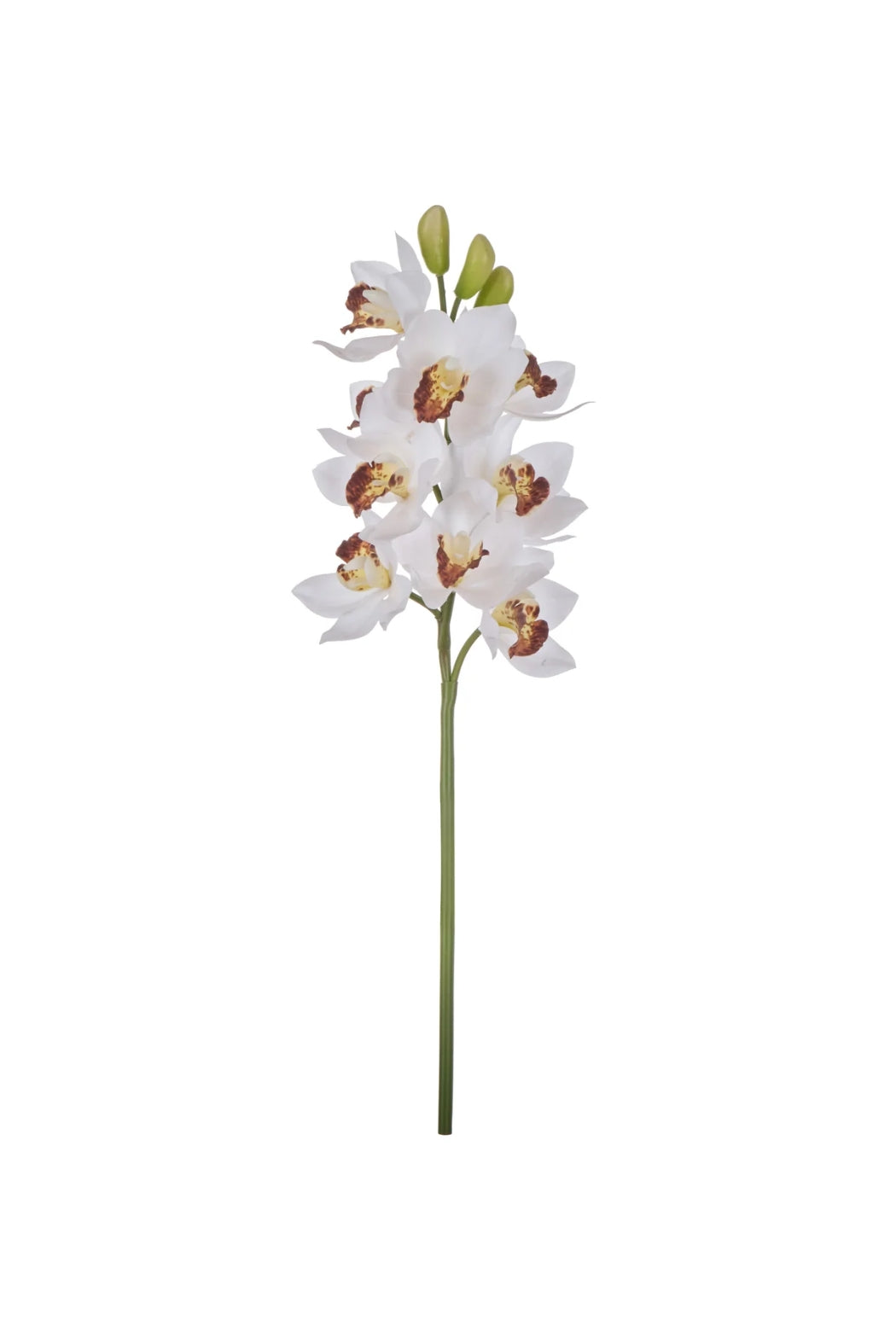 White Orchid Stem - Magpie Style