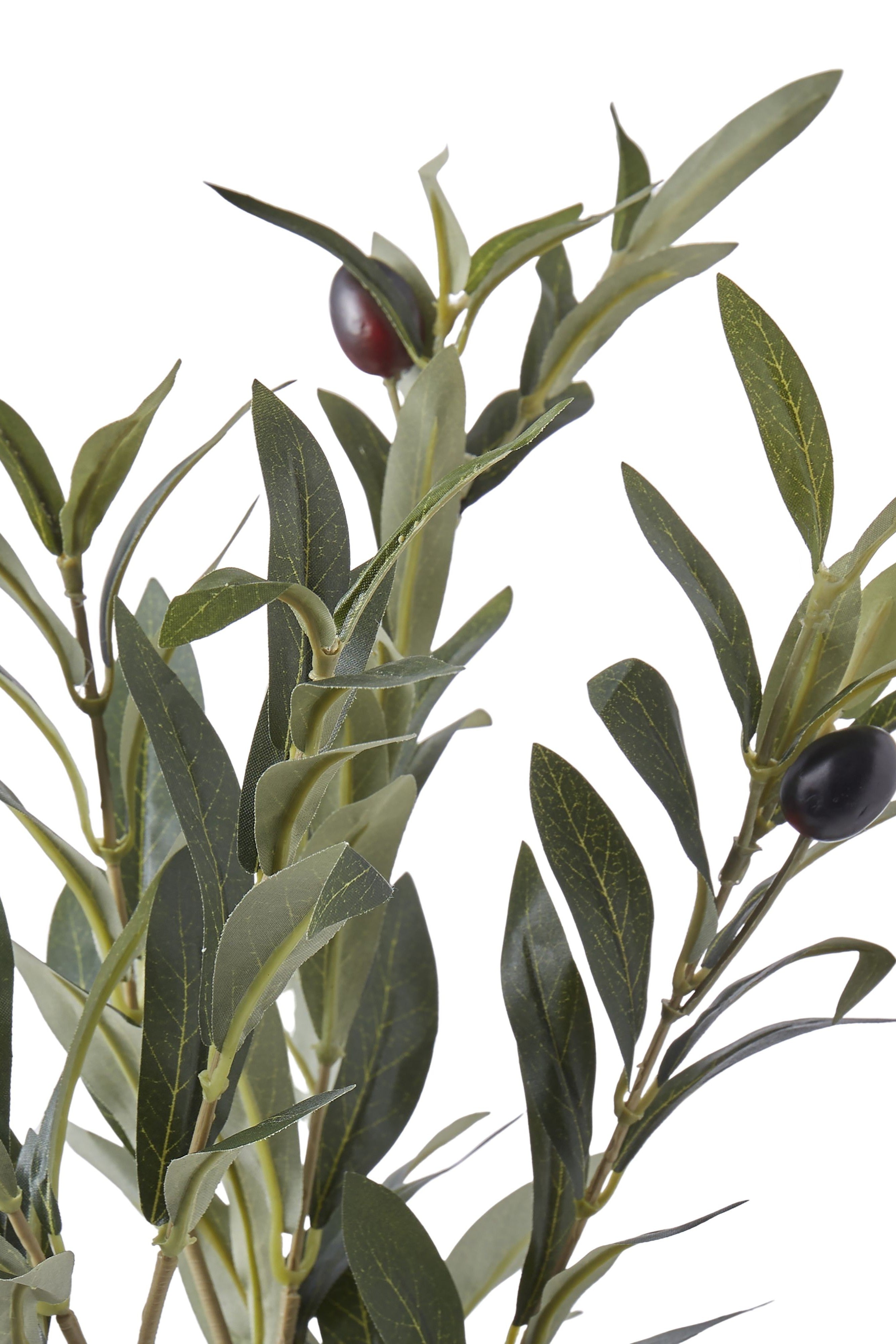 Long Olive Spray - Magpie Style