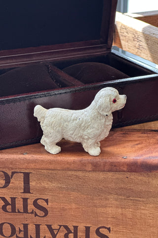 Fluffy White Dog
