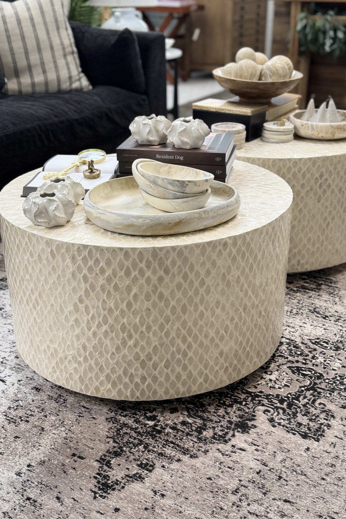 Catalina Capiz Shell Inlay Coffee Table - Magpie Style