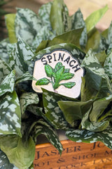 Spinach Garden Stakes