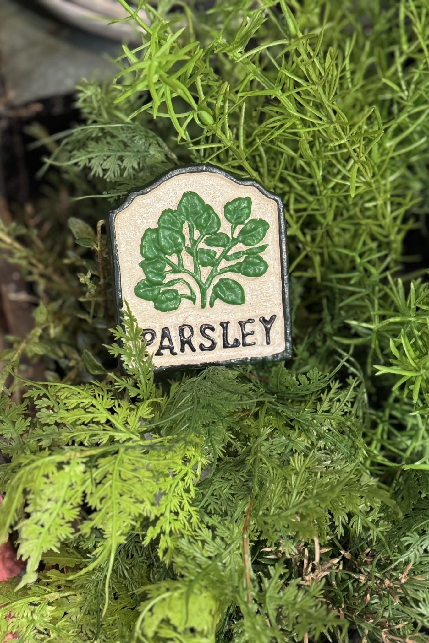 Parsely Herb Sign - Magpie Style